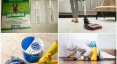 Delcide pro zpracování apartmánu